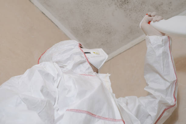 Professional Mold Remediation in Beulah, ND